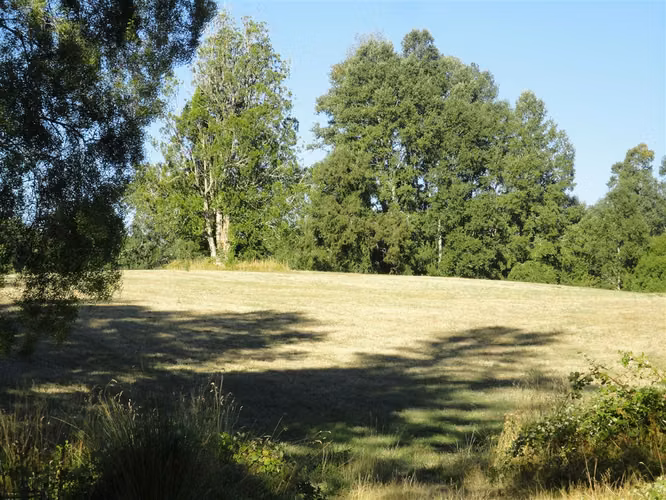 AGRICOLA 22 km de Villarica