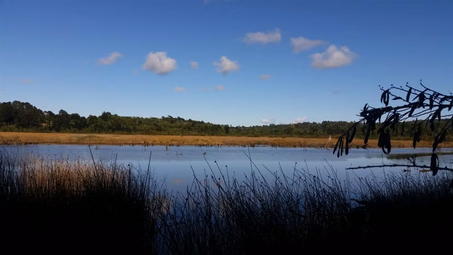 PARCELA Rio Mechaico