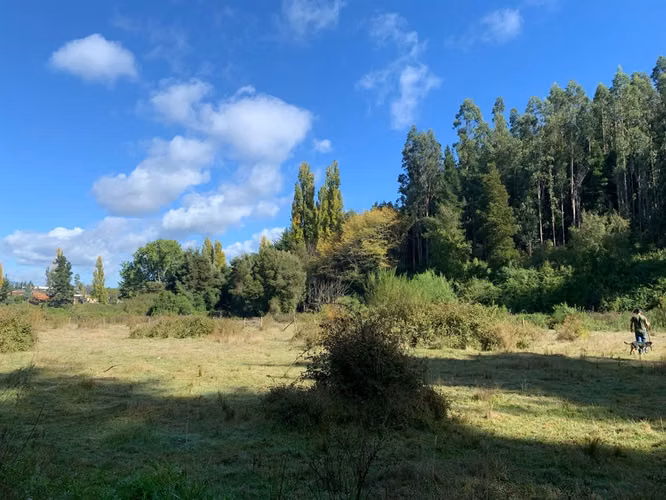AGRICOLA Fundo el Rosario