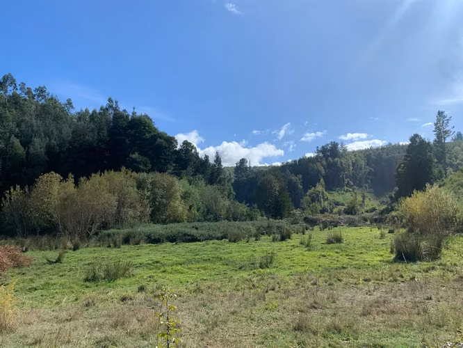 AGRICOLA Fundo el Rosario