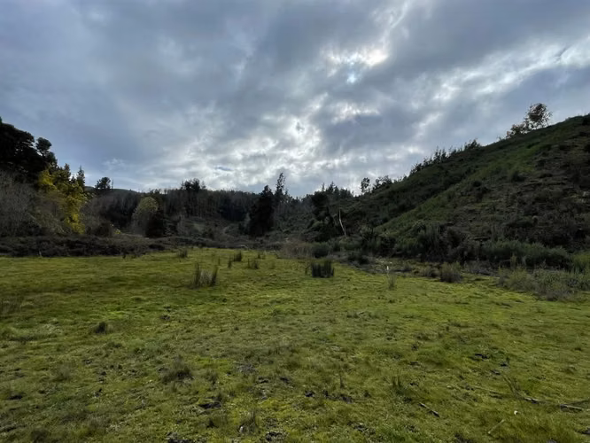 AGRICOLA Fundo el Rosario