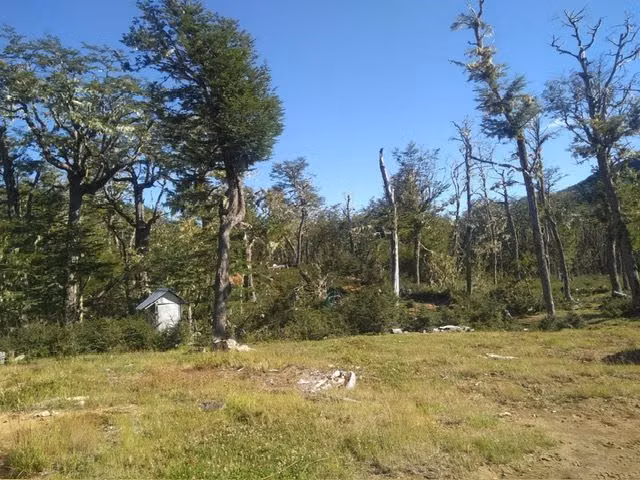 AGRICOLA Mañihuales