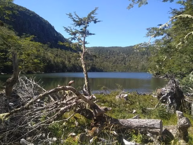 AGRICOLA Mañihuales