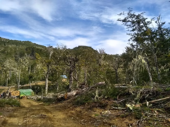AGRICOLA Mañihuales