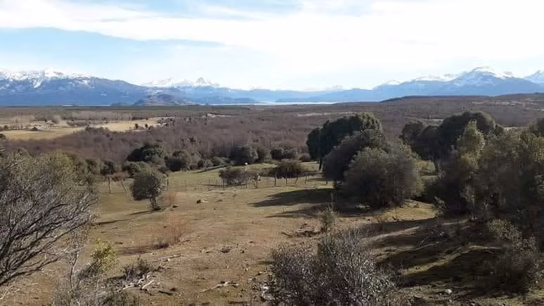 AGRICOLA MALLIN GRANDE