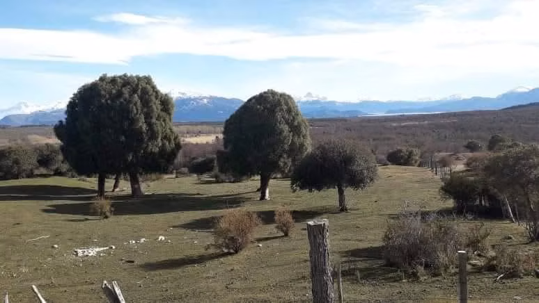 AGRICOLA MALLIN GRANDE - Imagen 5