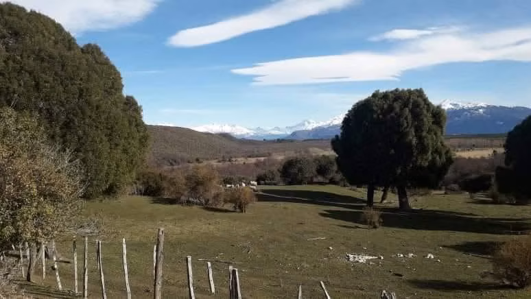 AGRICOLA MALLIN GRANDE - Imagen 6