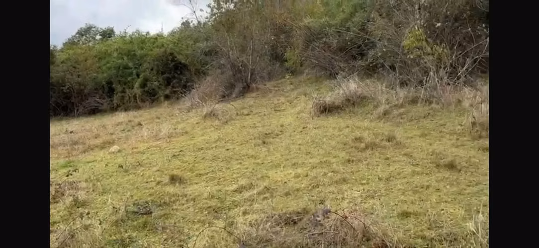 Hermosa Parcela Loteo Quebrada Riñihue