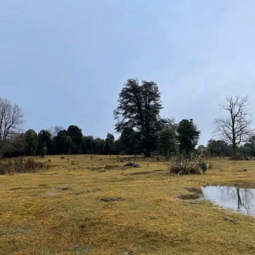 AGRICOLA HUALLIHUAPE