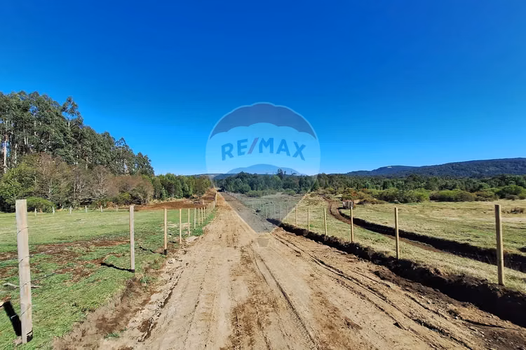 Oportunidad terreno / 2 ha. divididas en 4 lotes