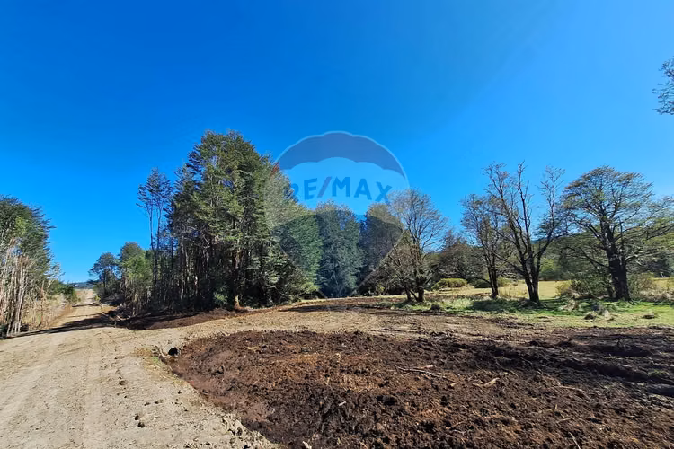 Oportunidad terreno / 2 ha. divididas en 4 lotes