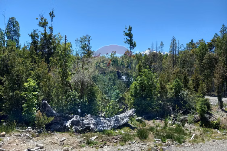 Hermosa parcela/ río chico alto/ alerce
