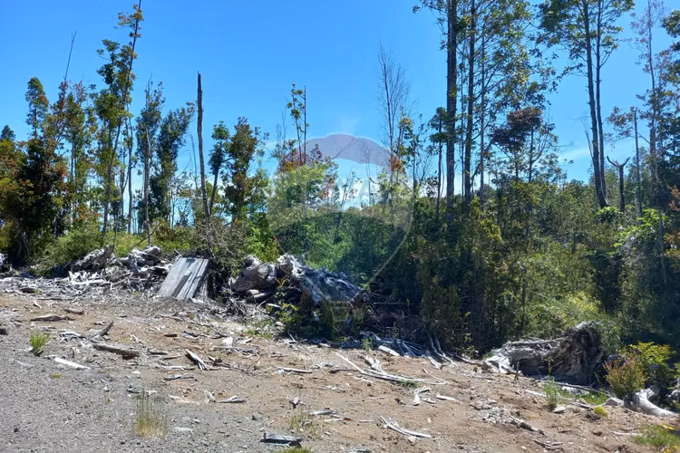Hermosa parcela/ río chico alto/ alerce