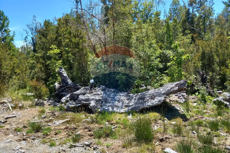 Hermosa parcela/ río chico alto/ alerce