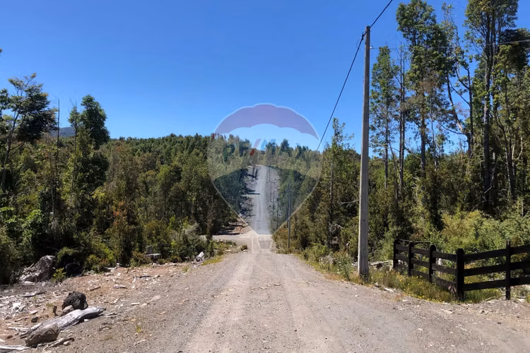 Hermosa parcela/ río chico alto/ alerce