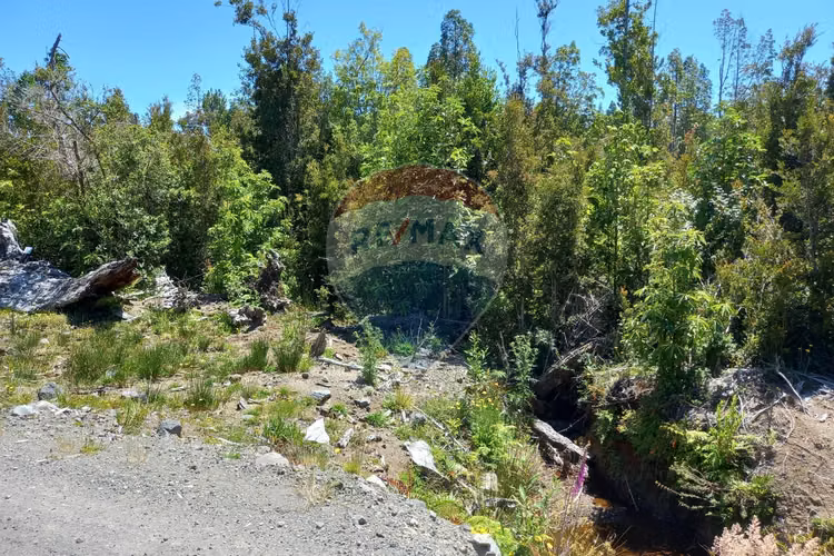 Hermosa parcela/ río chico alto/ alerce