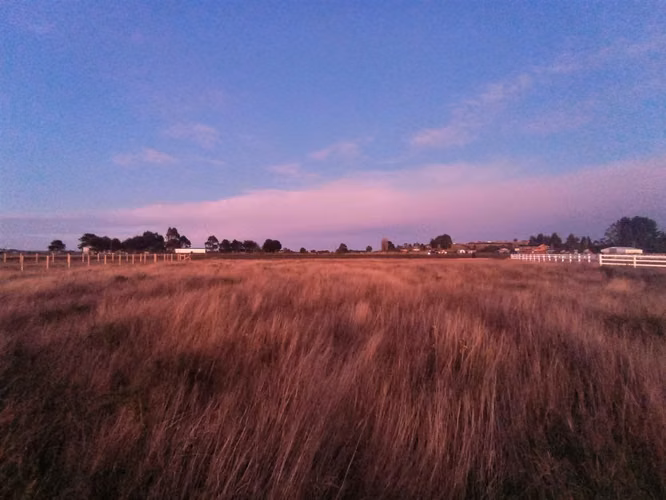 AGRICOLA Quemchi