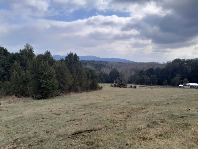 Parcelas en el Lago Colico, Cunco. Posibilidad de Crédito Directo