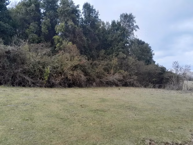 Parcelas en el Lago Colico, Cunco. Posibilidad de Crédito Directo