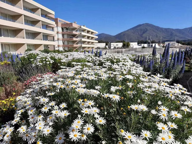 Departamento amoblado en arriendo (52839) - Imagen 13