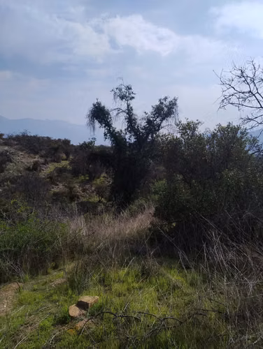 Casa Amoblada, Piscina, 3d 2b Regularizada en parcela de 7.000mts