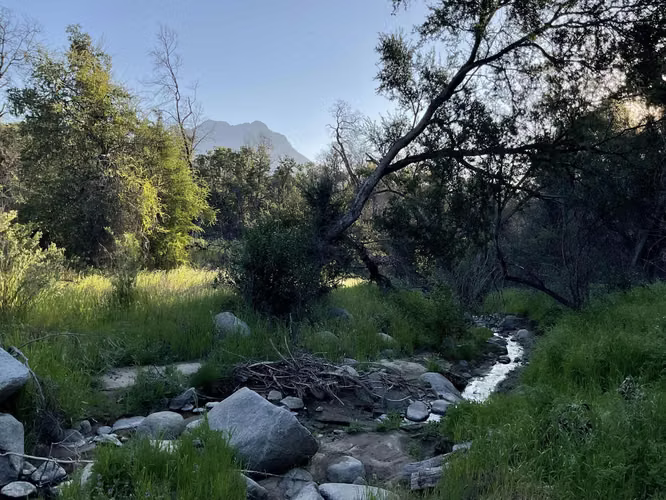 Parcela con hermoso estero, Oasis de La Campana Hijuelas