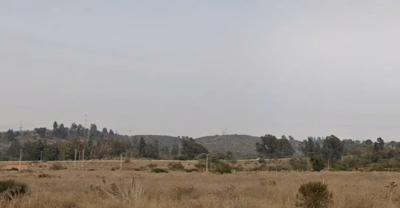 VENTA TERRENO INDUSTRIA PELIGROSA 22.000 MT2 CONCO