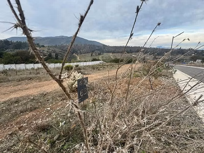 VENTA TERRENO 1.000M2 LAS GAVIOTAS EN CONDOMINIO