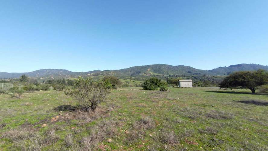 Terreno Plano (58934) - Imagen 6