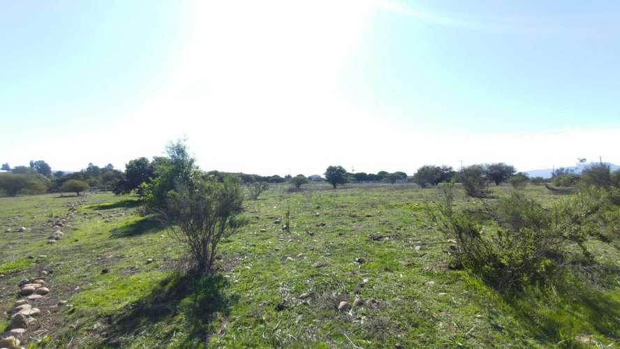 Terreno Plano (58934) - Imagen 12