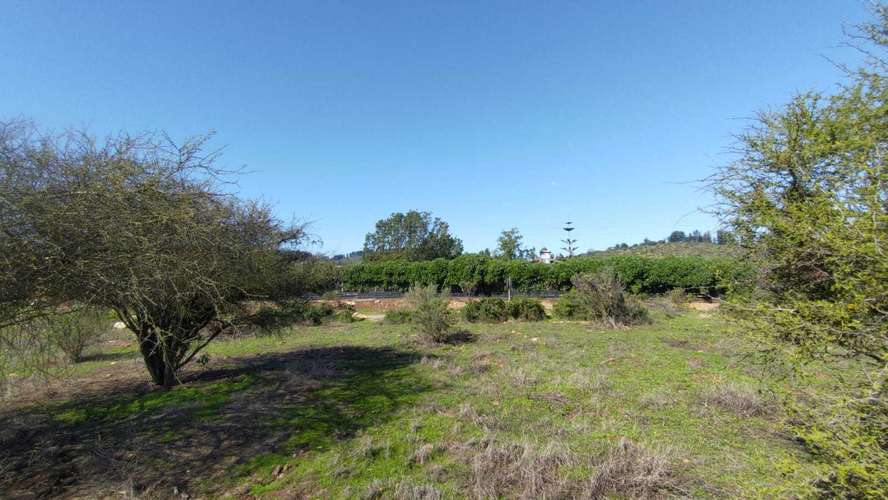 Terreno Plano (58934) - Imagen 17