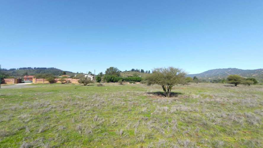 Terreno Plano (58934)
