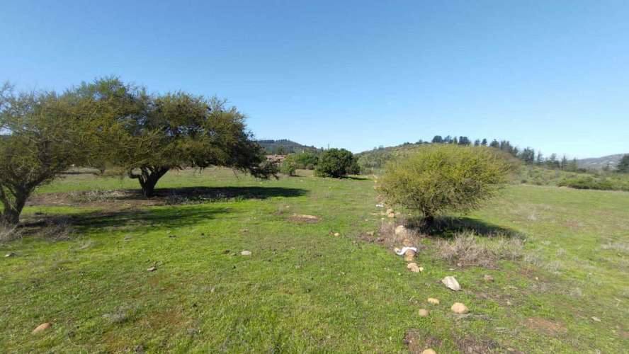 Terreno Plano (58934) - Imagen 8