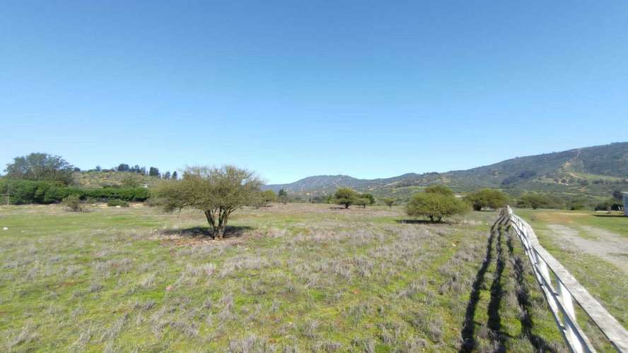 Terreno Plano (58934) - Imagen 9