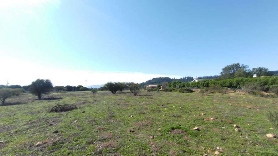 Terreno Plano (58934) - Imagen 16