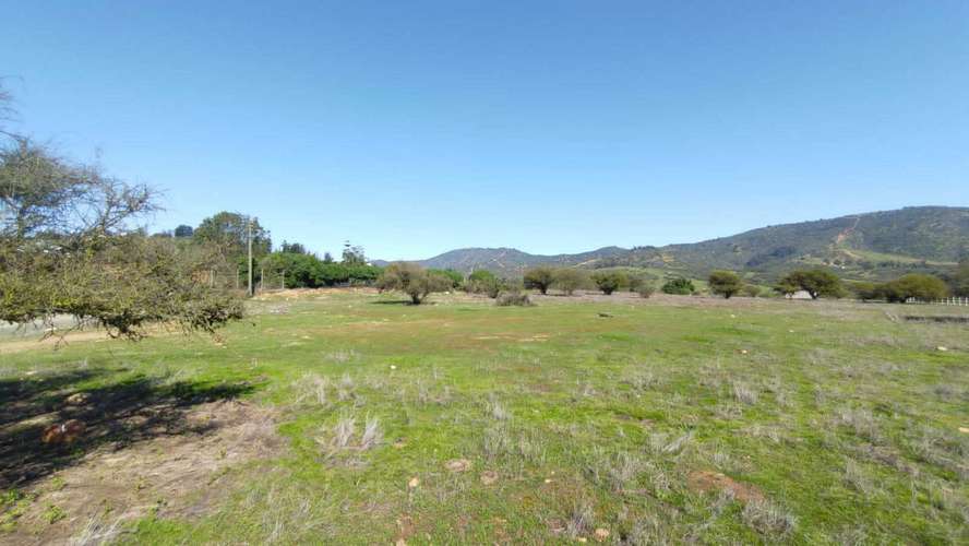 Terreno Plano (58934) - Imagen 4