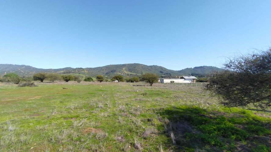 Terreno Plano (58934) - Imagen 15
