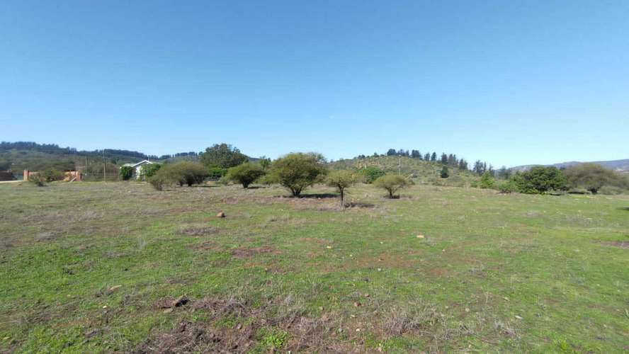 Terreno Plano (58934) - Imagen 14