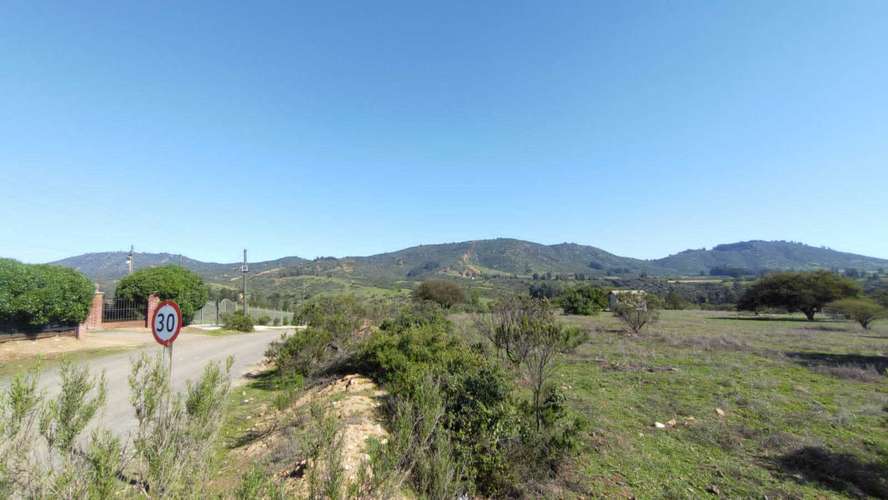 Terreno Plano (58934) - Imagen 2