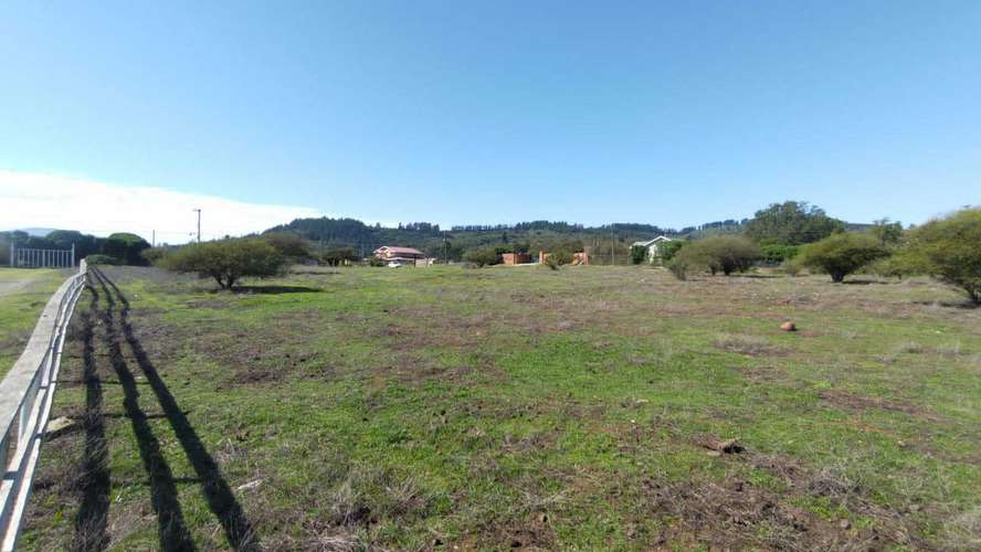 Terreno Plano (58934) - Imagen 13