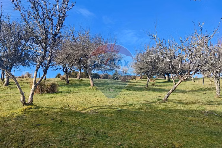 Oferta venta de cabaña con parcela  en chiloe