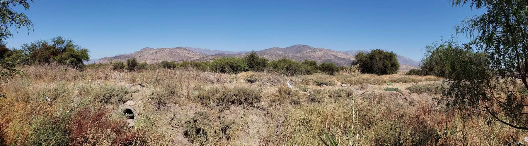 SITIO para Desarrollo Inmobiliario (63163)