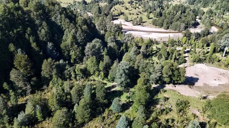 17 hás bello río Caracoles (63144)