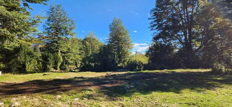 17 hás bello río Caracoles (63144)