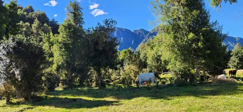 17 hás bello río Caracoles (63144)
