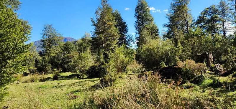 17 hás bello río Caracoles (63144)