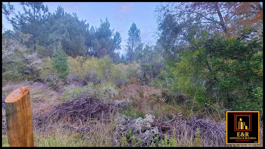9 Lotes en Curaco ; Comuna De Sta. Juana  (63112)
