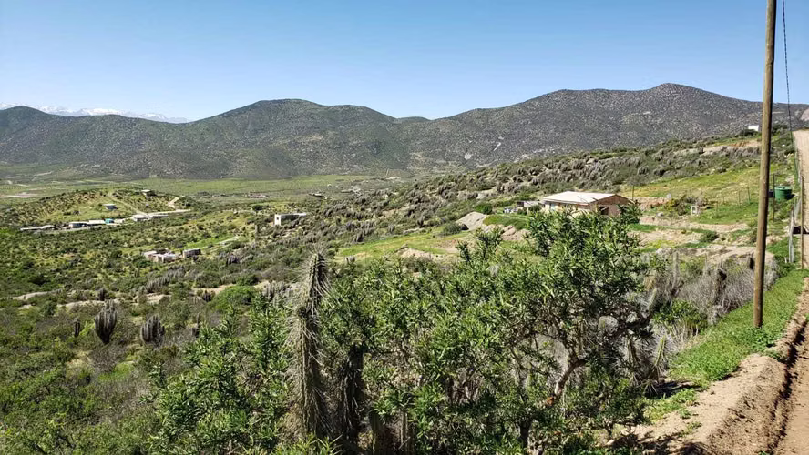 Hermoso lugar para construir o invertir. (63260) - Imagen 7