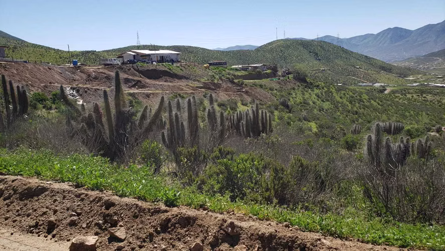 Hermoso lugar para construir o invertir. (63260) - Imagen 8