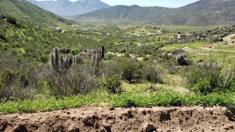 Hermoso lugar para construir o invertir. (63260) - Imagen 4